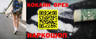тгк Бийск