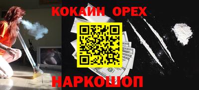 тгк Бийск