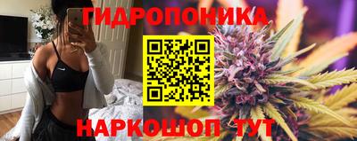 тгк Бийск