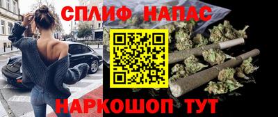 тгк Бийск