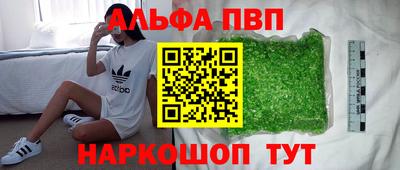 тгк Бийск